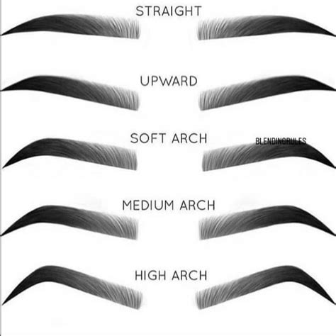 1 2 3 4 Or 5 💎 Which Eyebrows Shape Is Yours 🌸 Makeupterrific