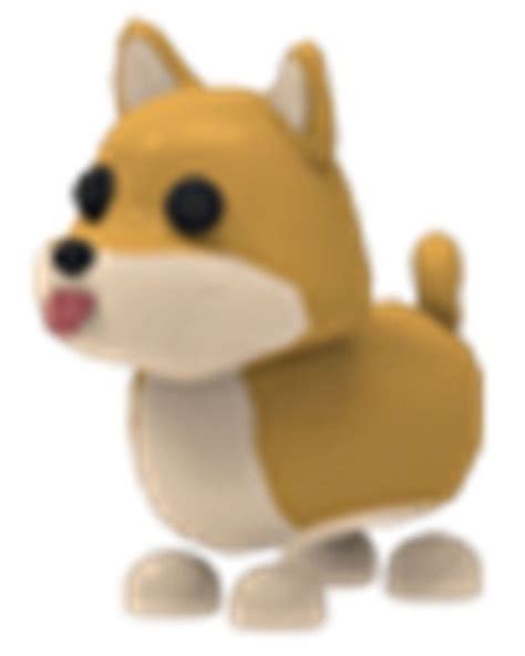 Roblox Adopt Me Pets Shiba Inu Images And Photos Finder