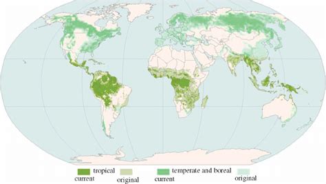 Distribution Of Tropical Forests Ca 8000 Years Ago And In The Late