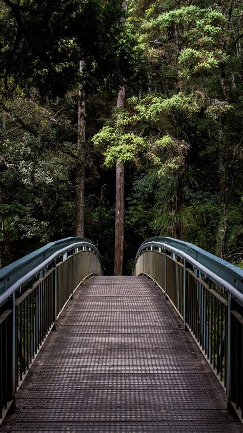Wallpaper Bridge Trees Forest Nature