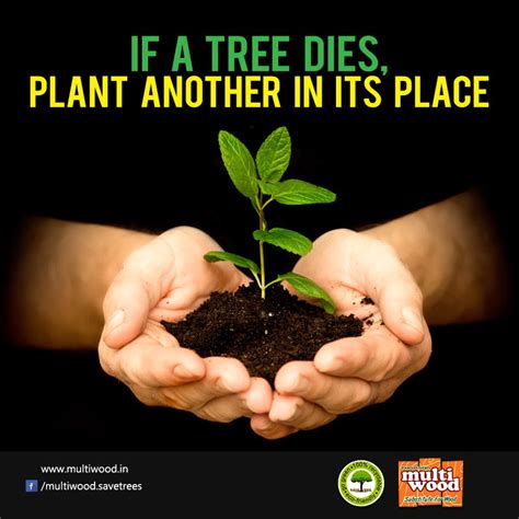 Tree Plantation And Conservation Save Trees
