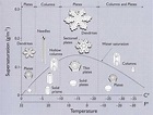 Snowflakes: Miniature Marvels - GetBoulder.com