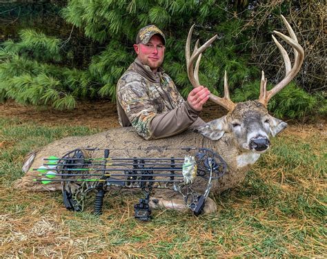 Whitetail Buck In Indiana By Dustin Riggs