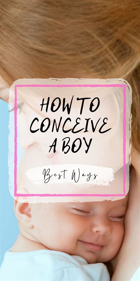 How To Conceive A Boy Best Ways Our Deer Conceiving A Boy How To