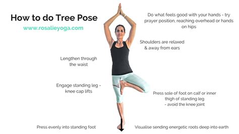 Tree Pose Yoga