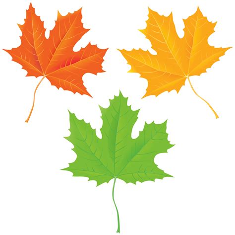 Clipart Autumn Leaves 10 Free Cliparts Download Images On Clipground 2024