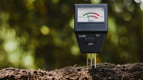 How To Lower Ph In Soil Why When And How Grow Your Yard