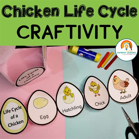 Chicken Life Cycle Craft Life Cycle Of A Chicken Life Cycle Of
