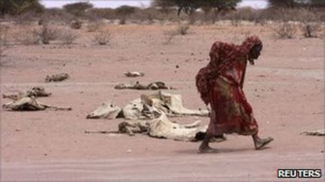 Kenya Drought Starvation Claims 14 Lives In Turkana Bbc News