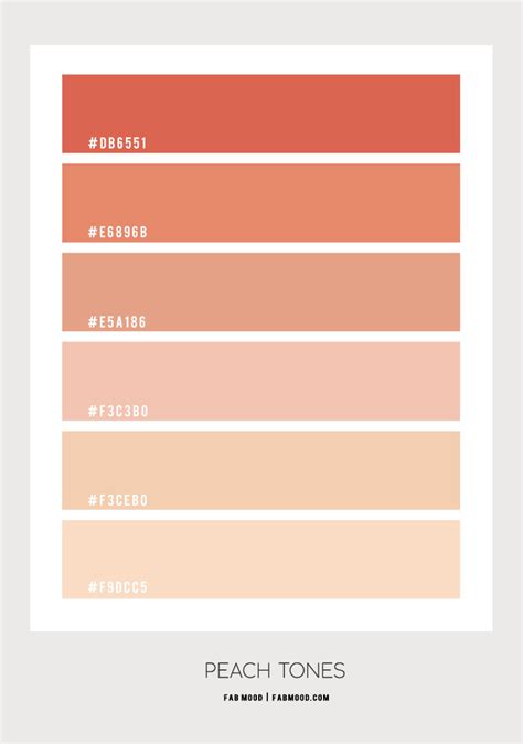 Peach Tones Colour Palette 81 Color Palette Bright Color Palette