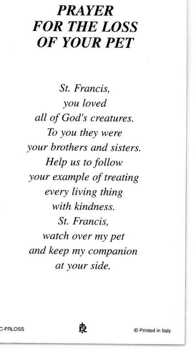 Loss Of Pet Prayer Laminated Holy Cards Quantity 25 Cards Catholic