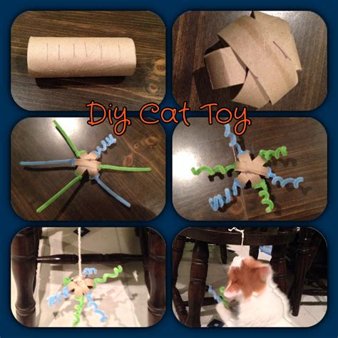 Diy Toilet Paper Roll Cat Toy Instructions On The Way Soon Diy Cat