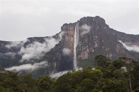 Angel Falls In Venezuela Stock Photo Image Of Natural 91809568