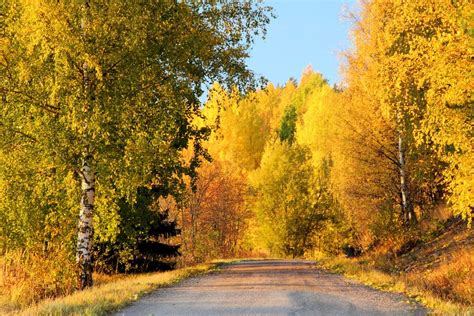 Fall In Finland Fall Colors Finland Landscape