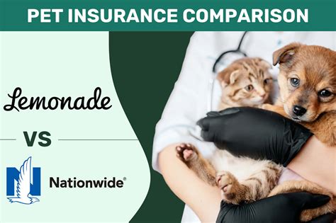 Nationwide Pet Insurance Scholarshipen