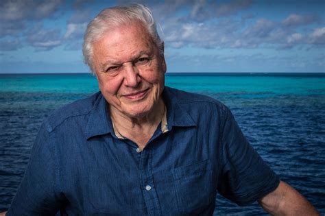 Born 8 may 1926) is an english broadcaster and natural historian. MIPTV Hot Pick - Attenborough's Great Barrier Reef - TBI ...