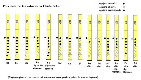 Posiciones De Las Notas En La Flauta Dulce