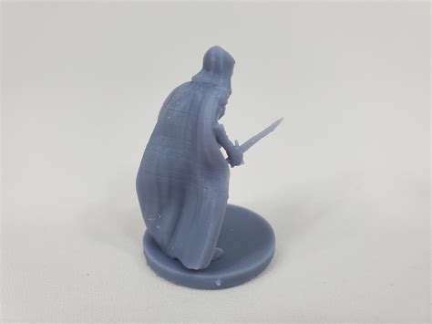 Assassin Female Mz4250 28mm Dungeons And Dragons Etsy