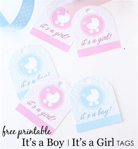 And so today i wanted to share with you all three more sets of free printable baby shower games. It's a Boy/It's a Girl Free Printable Tags - Project Nursery