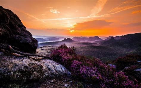 Landscape Nature Mist Sunset Wildflowers Valley