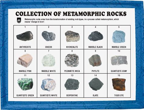 Collection Of Metamorphic Rocks Surfeaker