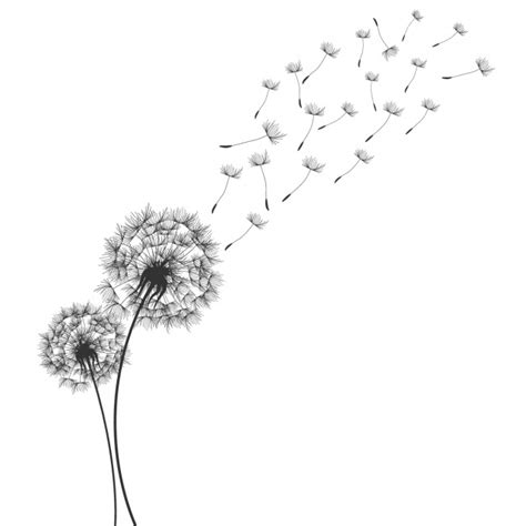You can also use the png files to make cards etc. Dandelion Images | Free Vectors, Photos & PSD