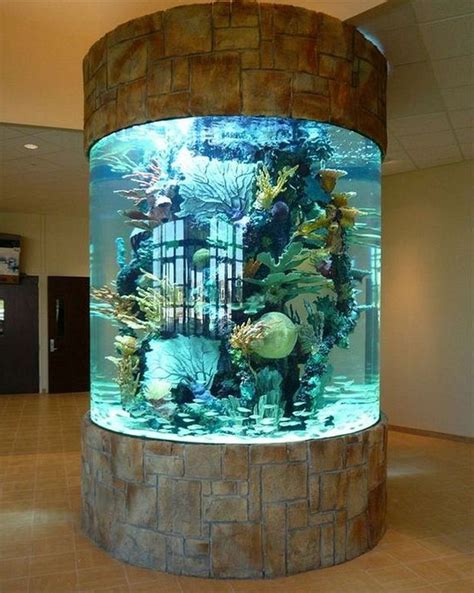 Goldfish Aquarium Design Ideas Pin By Navarro Edwards On 「aquarium