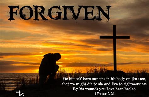You Are Forgiven Truth Renewed