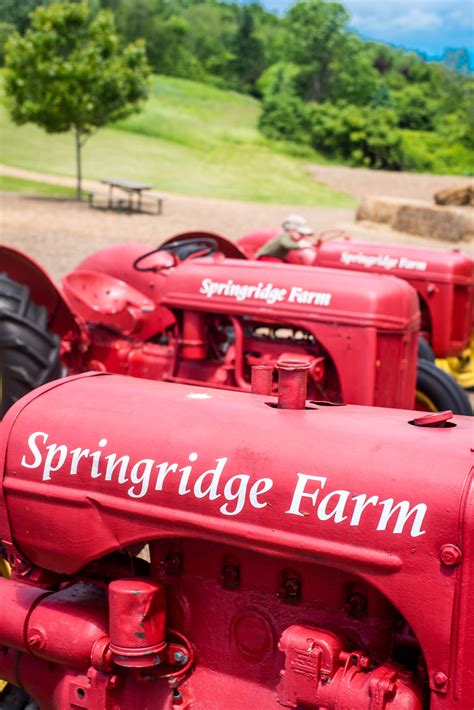Contact Us | Springridge Farm