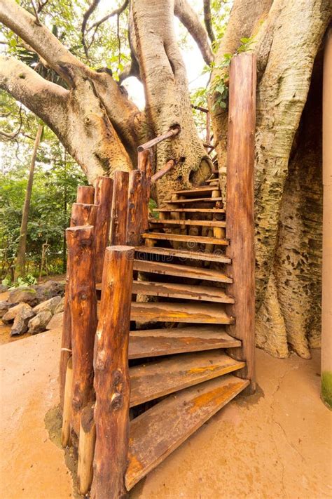 Stairs To The Tree House Stock Photo Image Of Plant
