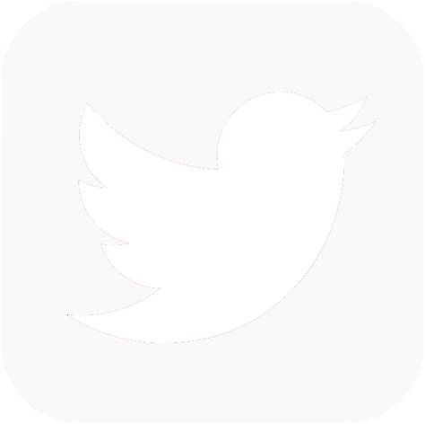 Twitter Logo Transparent Background Designbust