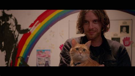 Soundtrack Tráiler A Street Cat Named Bob Dosis Media