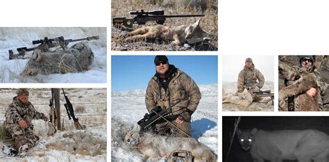 Predator Hunting | Cross C Ranch | Wyoming Outfitter, Wyoming Elk Area ...