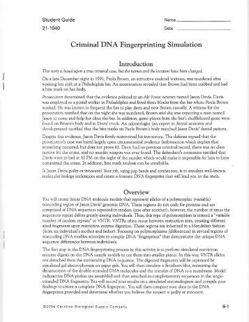 9.3 dna fingerprinting • dna fingerprinting is used in. Dna Fingerprinting & Paternity Worksheet Answer Key + My ...