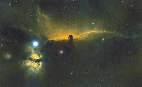 Horsehead Nebula In Sho Hubble Palette Rastrophotography