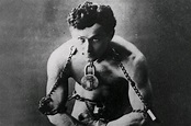 Inside the Houdini-Industrial Complex: The surprising, secret influence ...