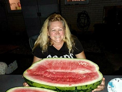 75 Pound Carolina Cross Watermelon Seeds Massive Prize Etsy