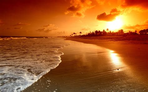 Beach Sunset Widescreen Hd Wallpapers Top Hd Images