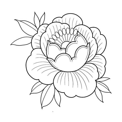 Fresh Peony Tattoo Semi Permanent Tattoos By Inkbox™ Flower Drawing