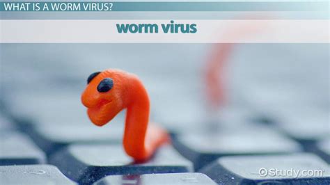 When infected, the host cell is forced to rapidly produce thousands of identical copies of the original virus. What is a Worm Virus? - Definition, Examples & Removal ...