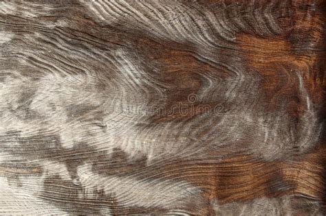 Dark Wood Texture Background Surface With Old Natural Pattern Stock