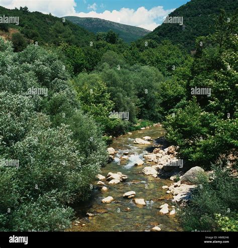The Neda River Amongst Vegetation Arcadia Peloponnese Greece Stock