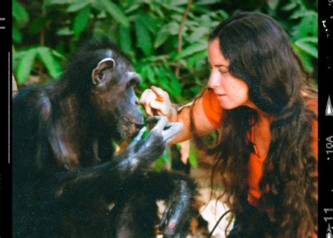 The Head Scratching Ethics Of ‘lucy The Human Chimp Catholic Philly