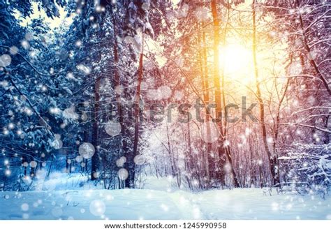 Beautiful Winter Landscape Forest Trees Sunrise Stock Photo 1245990958