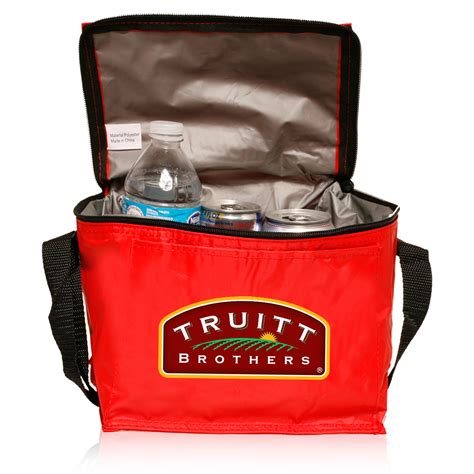 Personalized Insulated Cooler Bags Promotional Cooler Bags With