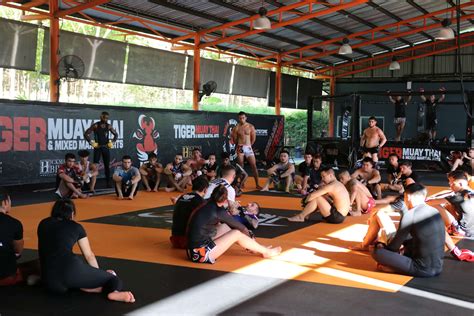 Mma Mixed Martial Arts Training Program At Tiger Muay Thai