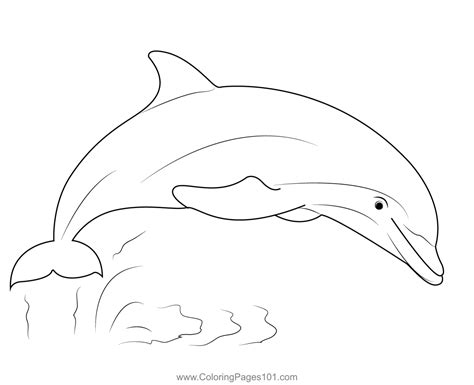 Dolphin Show Coloring Page For Kids Free Dolphins Printable Coloring