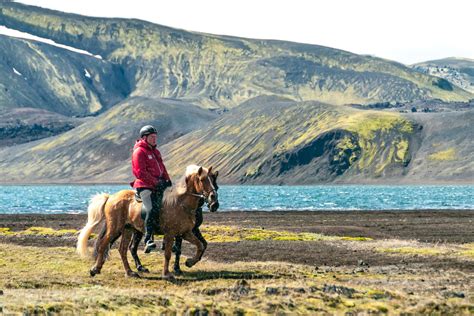Trail Ride On Icelandic Horses In Landmannalaugar Equus Journeys