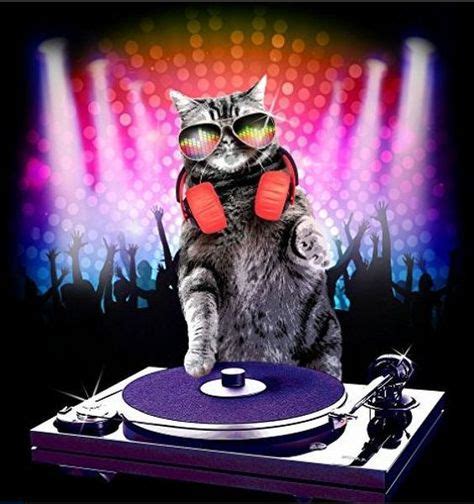 10 Best Dj Cats Images Cats Dj Dj Kitty