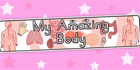 My Amazing Body Display Banner Teacher Made